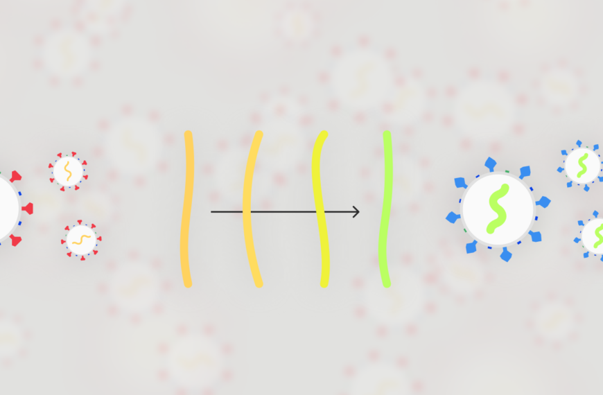 Vacunar a m&eacute;s gent no necess&agrave;riament promour&agrave; la proliferaci&oacute; de m&eacute;s variants virulentes